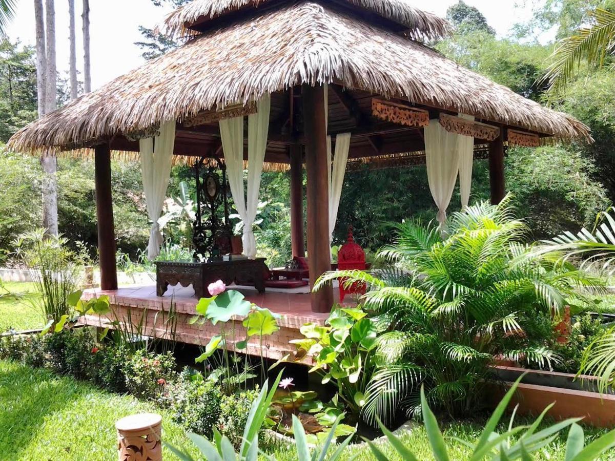 Tropical Bliss Residence Mae Nam Extérieur photo
